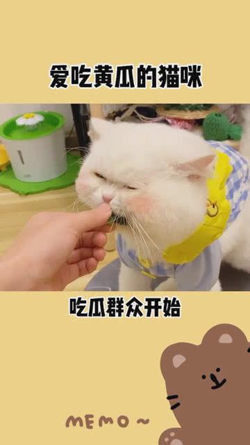 吃瓜群众在线吃瓜网