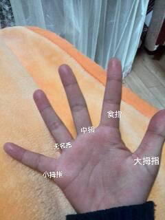 五根手指照片,五根手指的奇妙世界”